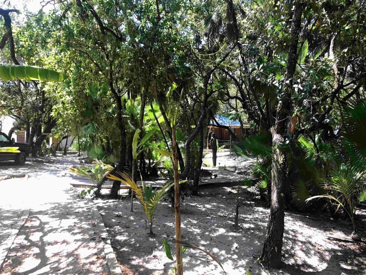 Kin Resort Lodge Майя-Бич Экстерьер фото